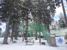 27710867_10215884164646786_1204241716_o